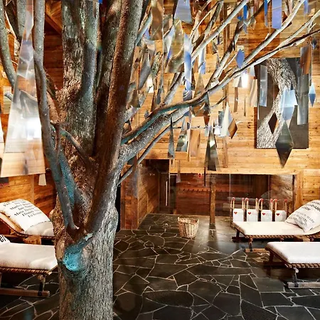 Otel Art & Ski-in Hinterhag