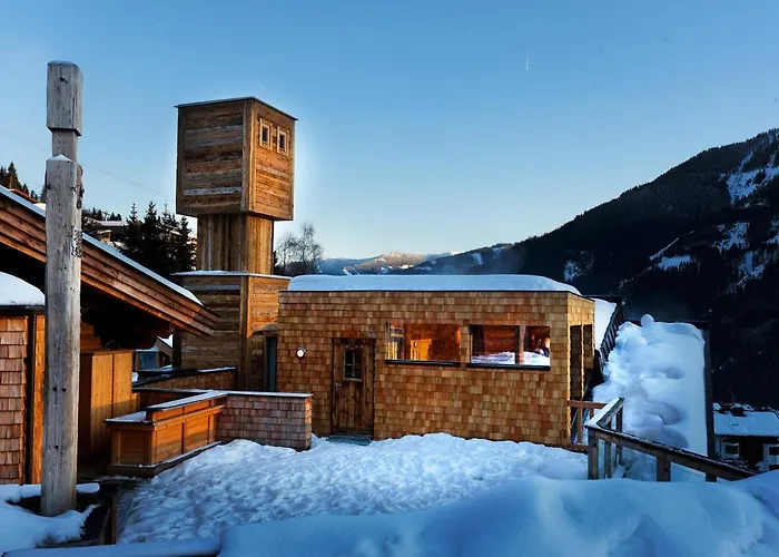 Art & Ski-in Hinterhag Hotel 4*